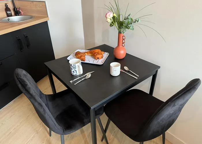 Cozy 公寓 尼奥尔